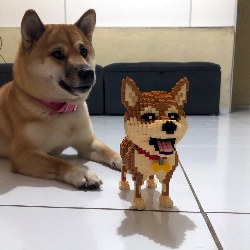 Tahu membangun Shiba Inu Model - Kids Education And Recreation ulasan dan harga